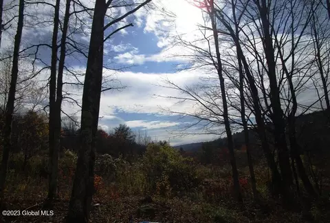 121 Two Post Ln, Warnerville, NY 12187 photo 21