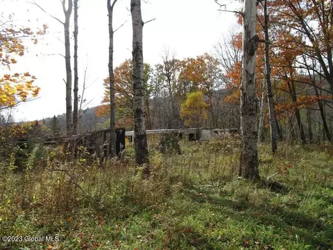 121 Two Post Ln, Warnerville, NY 12187 photo 24