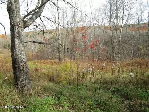 121 Two Post Ln, Warnerville, NY 12187 photo 10