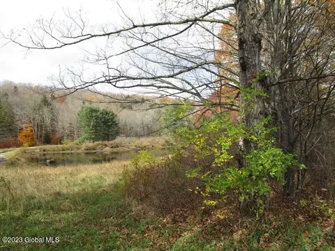 121 Two Post Ln, Warnerville, NY 12187 photo 23