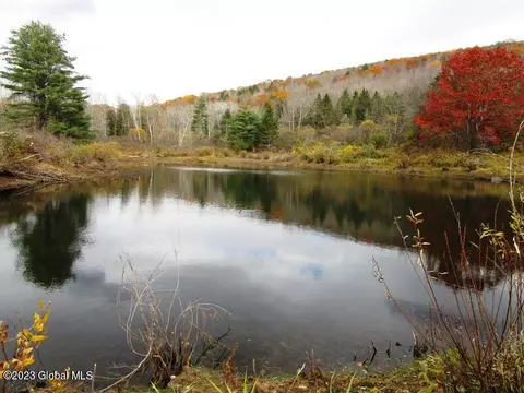 121 Two Post Ln, Warnerville, NY 12187 photo 3