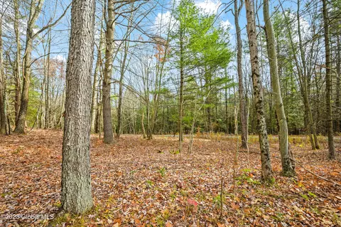 L13 Deer Path, Jefferson, NY 12093