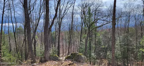 L3 Clendon Brook Road #ADIRONDACK PK, Queensbury, NY 12804