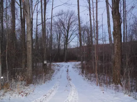 248 Hone Rd, Cherry Valley, NY 13320