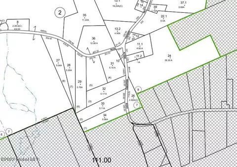 170 Alpine Meadows Rd, Porter Corners, NY 12859