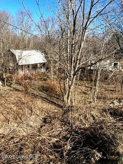 2101 State Route 10, Jefferson, NY 12093