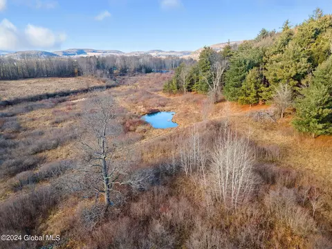 5302 State Route 10, Cobleskill, NY 12043 photo 59