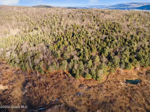5302 State Route 10, Cobleskill, NY 12043 photo 64