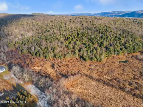 5302 State Route 10, Cobleskill, NY 12043 photo 65