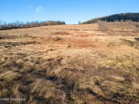 5302 State Route 10, Cobleskill, NY 12043 photo 63