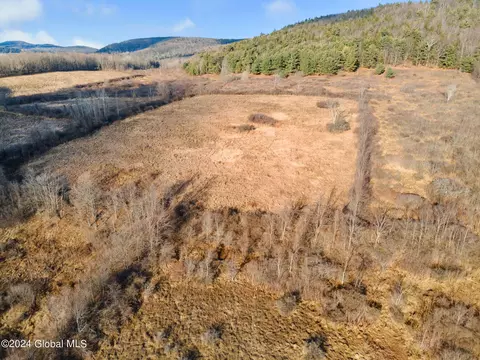 5302 State Route 10, Cobleskill, NY 12043 photo 54