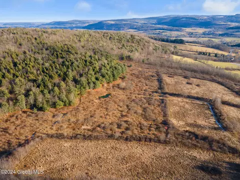 5302 State Route 10, Cobleskill, NY 12043 photo 66