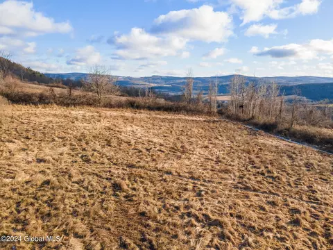 5302 State Route 10, Cobleskill, NY 12043 photo 61