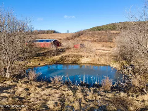 5302 State Route 10, Cobleskill, NY 12043 photo 50