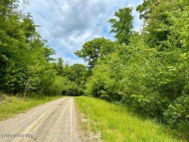 l69 old ghost road LOT 8, Canaan, NY 12125