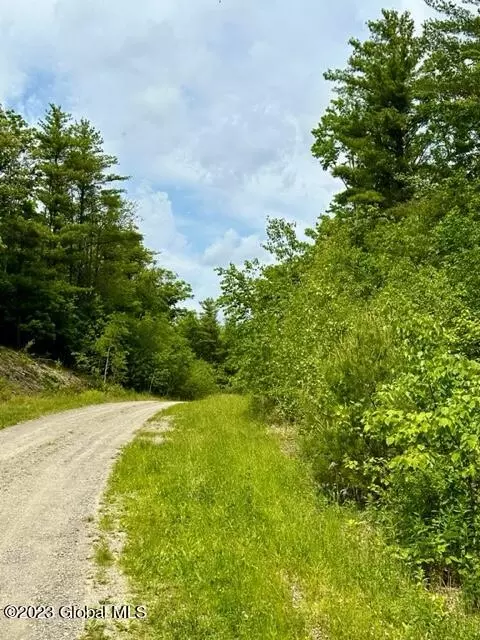 3 Old Ghost Road #LOT 22, Canaan, NY 12125