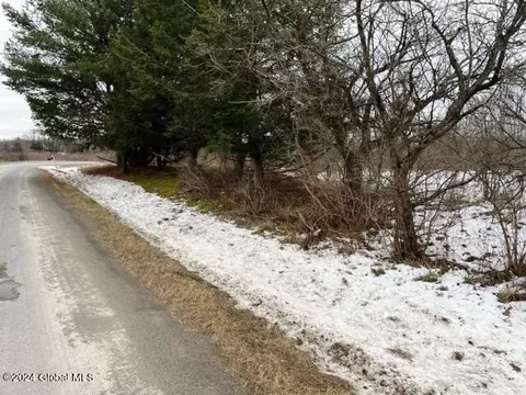 885 Brand Rd, Root, NY 12166 photo 4