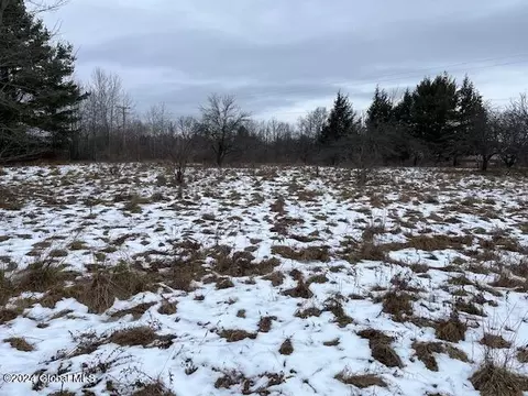 885 Brand Rd, Root, NY 12166 photo 12