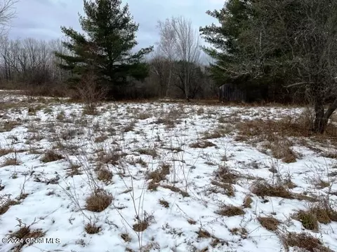885 Brand Rd, Root, NY 12166 photo 6
