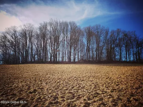 34 Button Rd, Pittstown, NY 12182 photo 17