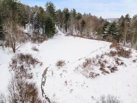 L30 Mud Lake Road, Summit, NY 12175