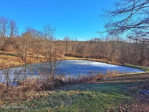 334 Middle Rd, Salem, NY 12865 photo 10