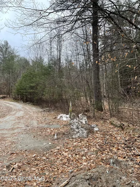 L7 Mountain Meadows Road, Adirondack, NY 12808