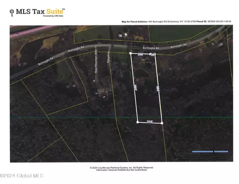 View/Area - 444 Burroughs Rd, Schenevus, NY 12155 photo 4 of 4