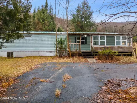 Exterior - 444 Burroughs Rd, Schenevus, NY 12155 photo 12 of 13