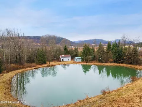 View/Area - 444 Burroughs Rd, Schenevus, NY 12155 photo 1 of 4