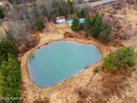 Exterior - 444 Burroughs Rd, Schenevus, NY 12155 photo 8 of 13