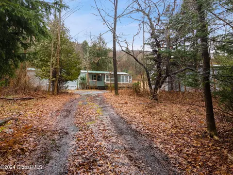 Exterior - 444 Burroughs Rd, Schenevus, NY 12155 photo 4 of 13