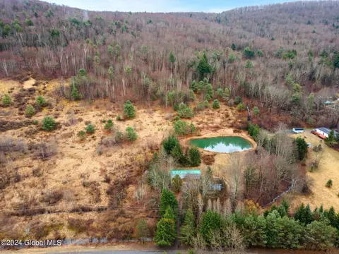 View/Area - 444 Burroughs Rd, Schenevus, NY 12155 photo 2 of 4