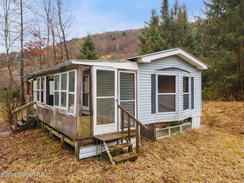 Exterior - 444 Burroughs Rd, Schenevus, NY 12155 photo 13 of 13