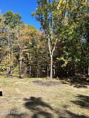 124 County Rd 67, Schuylerville, NY 12871