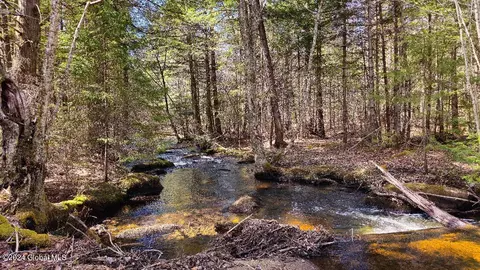 121 Youker Rd, Stratford, NY 13470
