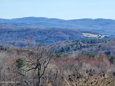 L1 Lang Road, Summit, NY 12175