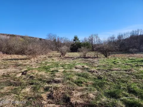 L5 Lang Road, Summit, NY 12175 photo 8