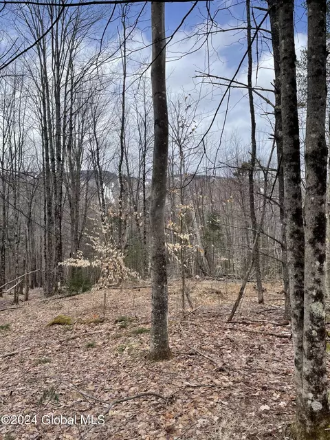 1 Durkin Road # l65, North Creek, NY 12853