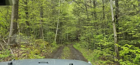 5 95 Acres Tae Kwon Rd, North Blenheim, NY 12131