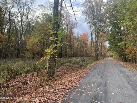 lot2 Clickman Rd #12193, Westerlo, NY 12193