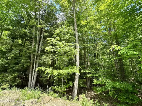 L45.11 Parker Road, Corinth, NY 12822