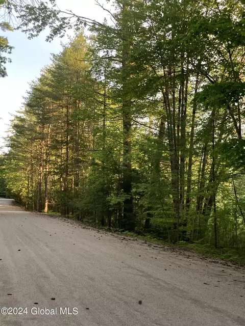 0 Little Pond Rd, Chester, NY 12817