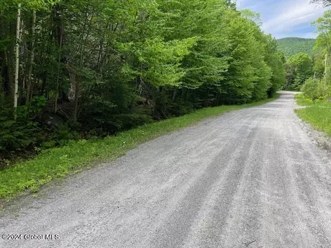 110 Ruby Mountain View Dr, North River, NY 12853