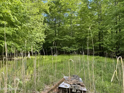 367 Momrow Rd, Sand Lake, NY 12196