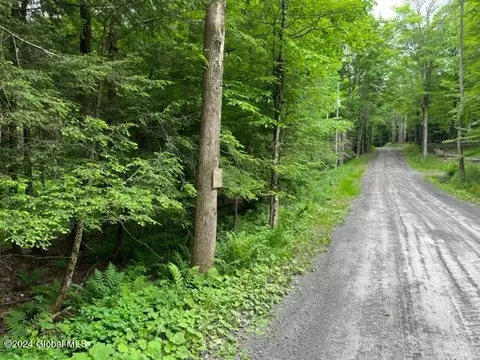 L3 Davis Road, Gilboa, NY 12076