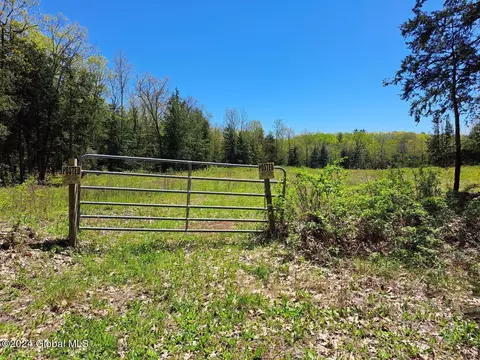 L 3.11 Longwoods Road, Buskirk, NY 12028