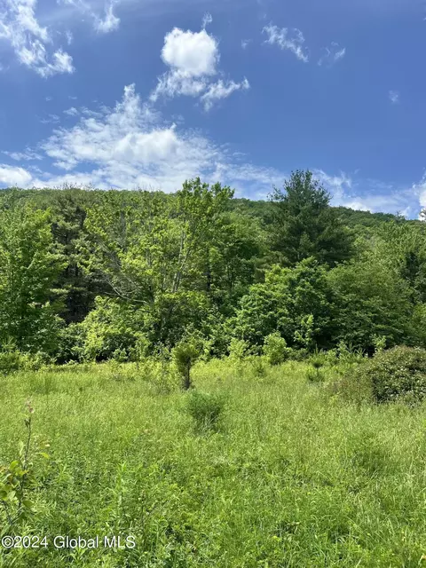 L5.126 Tae Kwon Road, North Blenheim, NY 12131