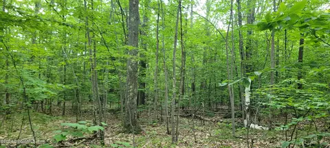 L10 Rossman Hill Road, West Fulton, NY 12194