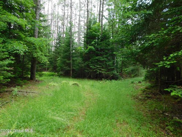 L11 Pumpkin Hollow Road, Brant Lake, NY 12815
